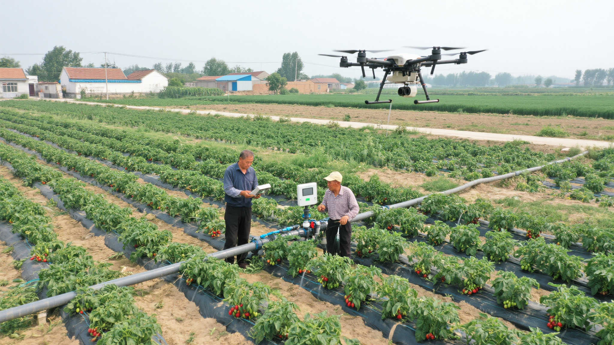 澳洲幸运5开奖-平台介绍